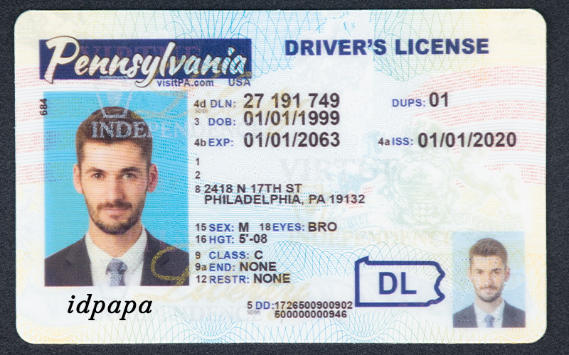 Pennsylvania novelty driver's license featuring a man's photo, sample ID details, and the text idpapa on the bottom left